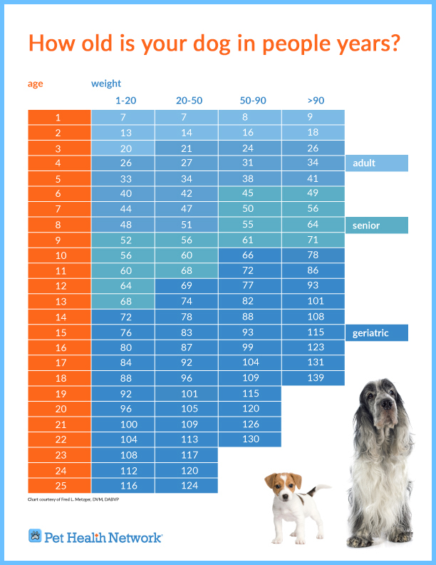 age_chart_dogs_v3.2.jpg